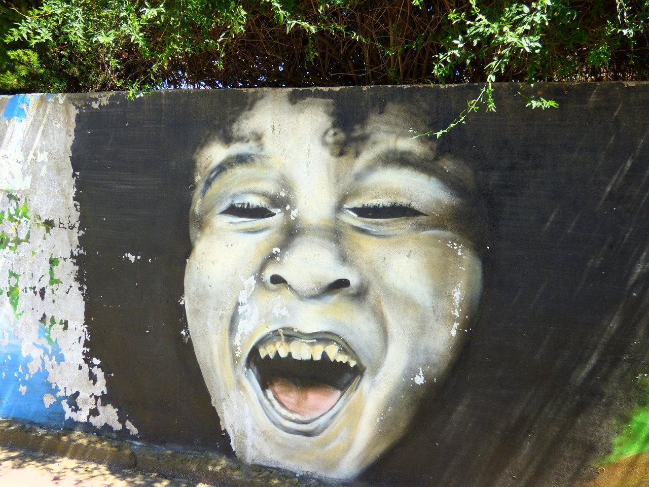 梧州市最新发展动态概览