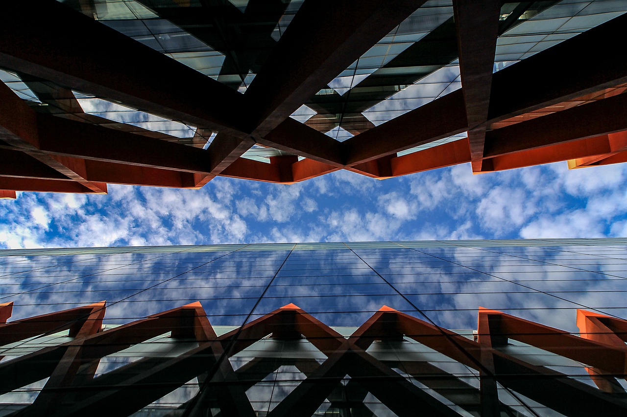 探索现代养羊业的新趋势与挑战,最新养羊业动态分析