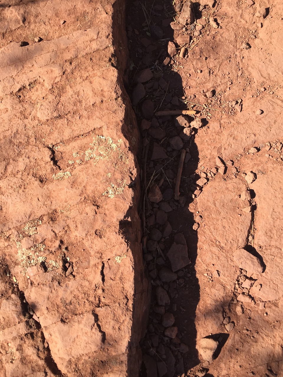 花开无言 第24页