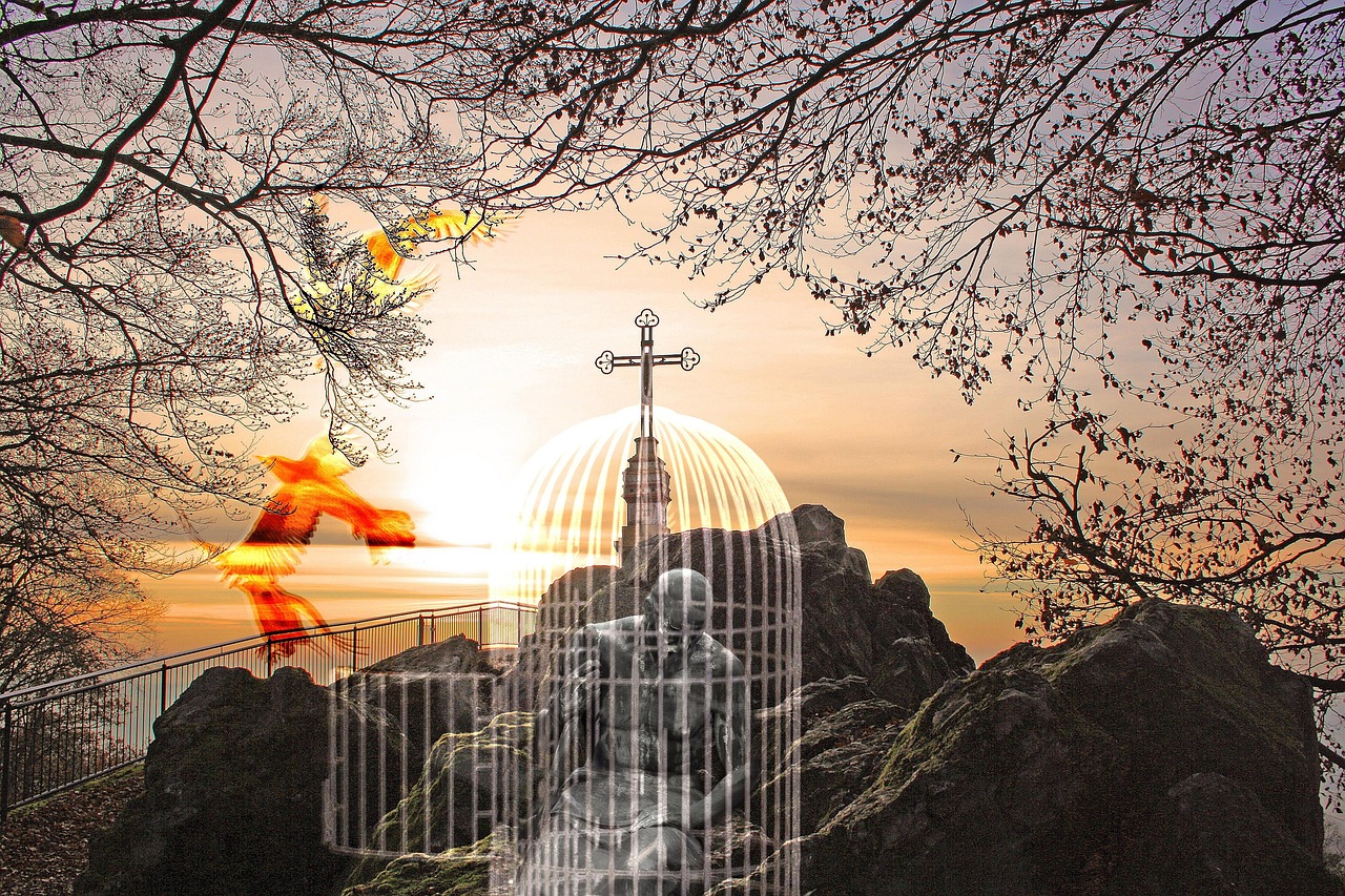 探索现代精神健康的新领域,最新疯人院揭秘