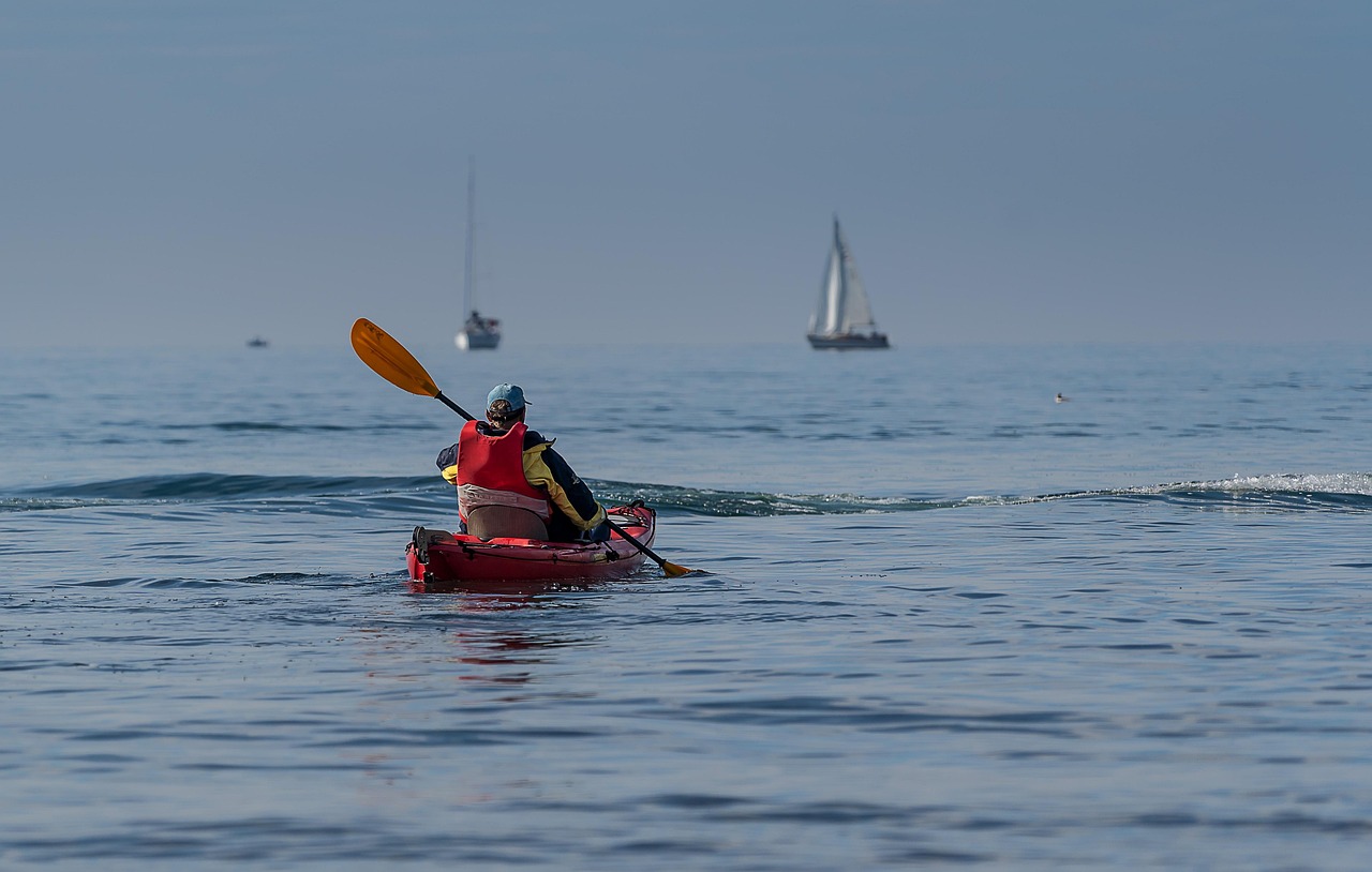 巨鲲世纪最新探索,未知海域的奇幻冒险之旅