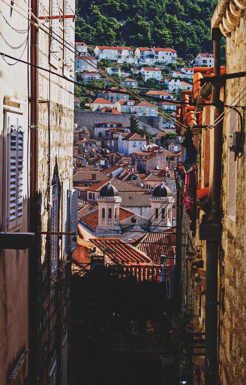 光遇最新金人探索与发现之旅独家揭秘!