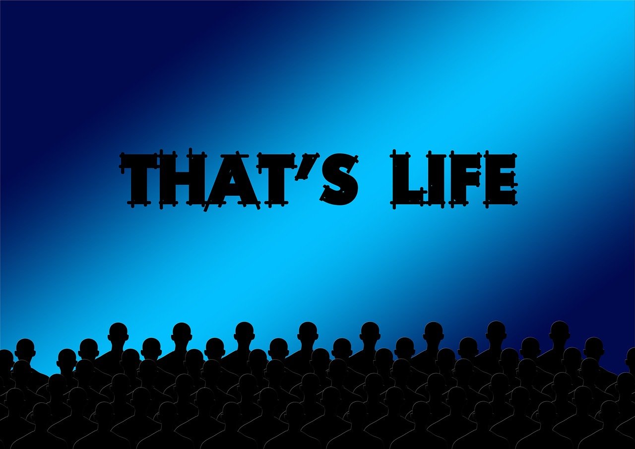 探索影视娱乐最新领地,最新播放页