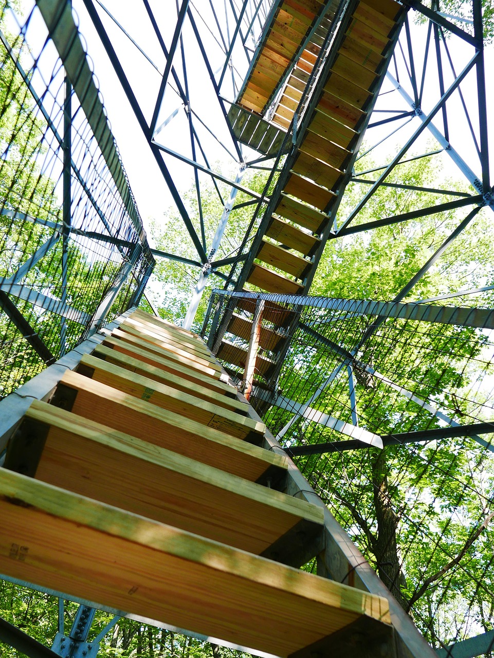 美新疫情最新动态，挑战与希望并存的局势分析