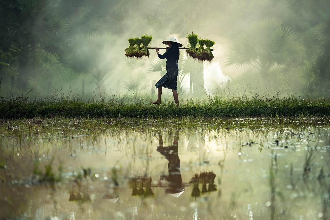 北京暴雨来袭,城市应对挑战与反思