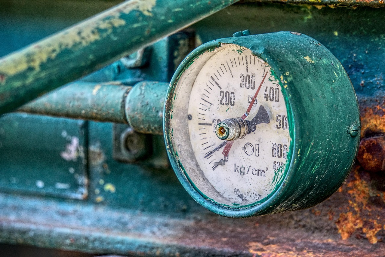 港区区域最新发展动态概览