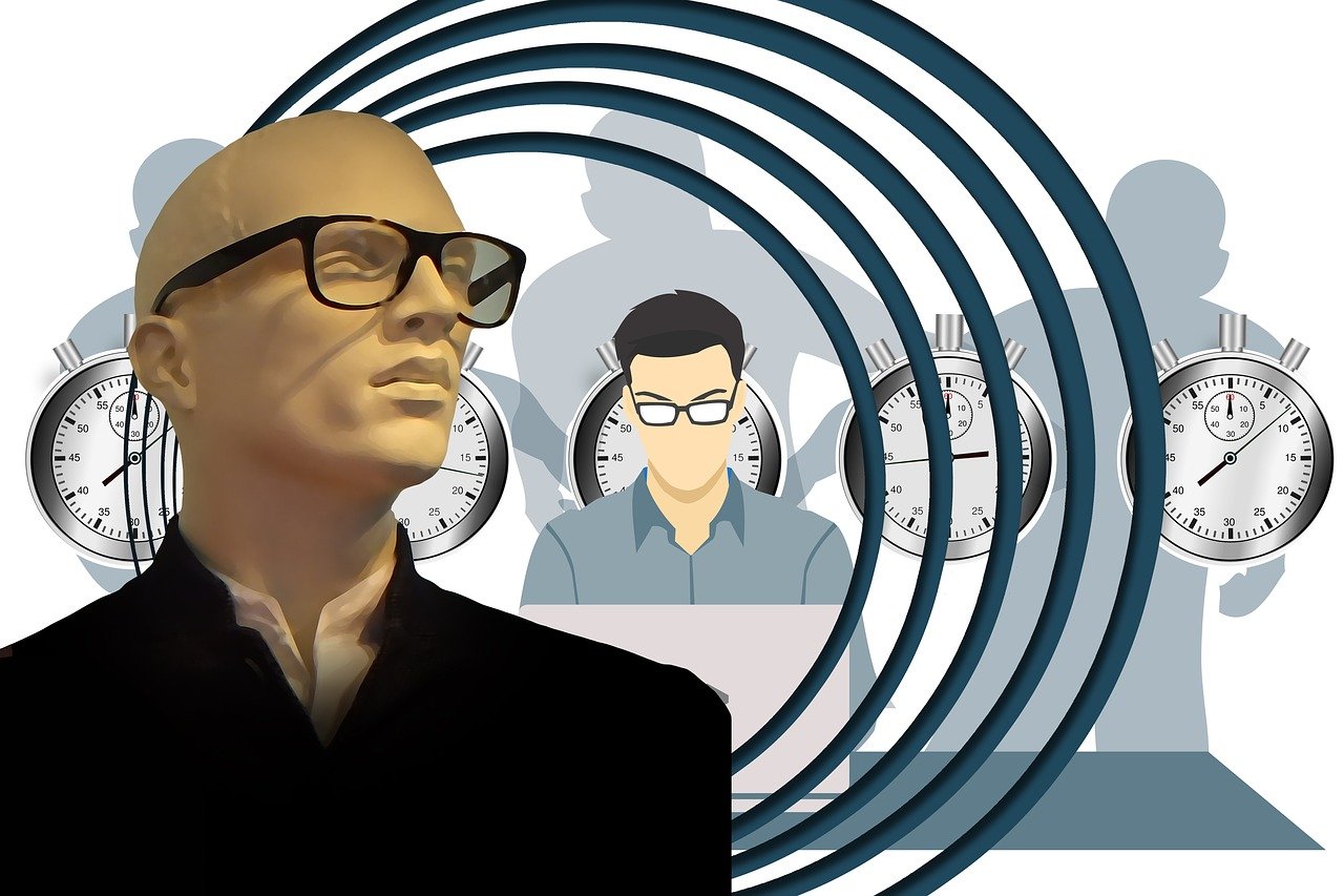 葬花最新版,探索与重塑之旅