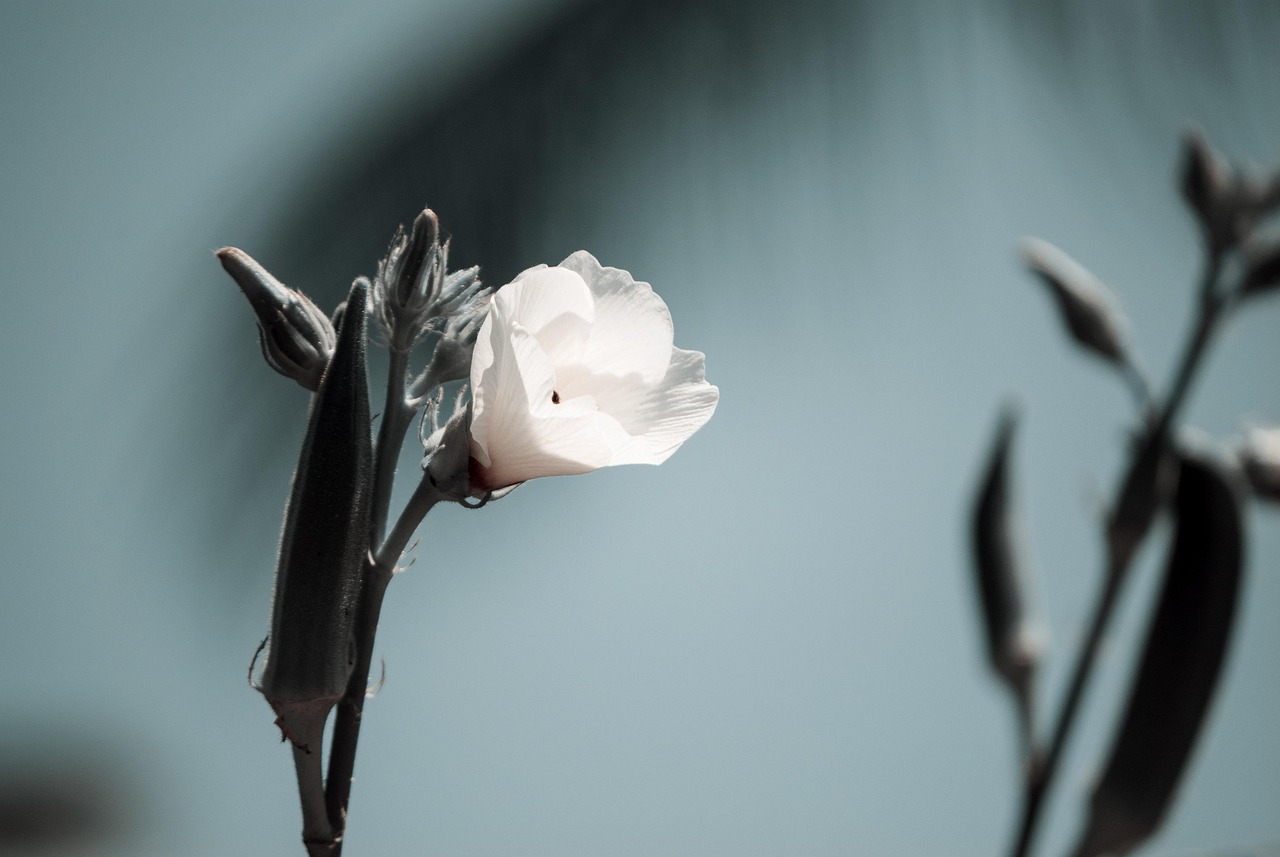 辽疫情最新消息更新,辽地区疫情动态