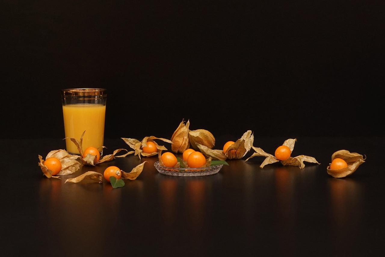 塞力斯最新动态,科技创新引领,塑造未来产业生态