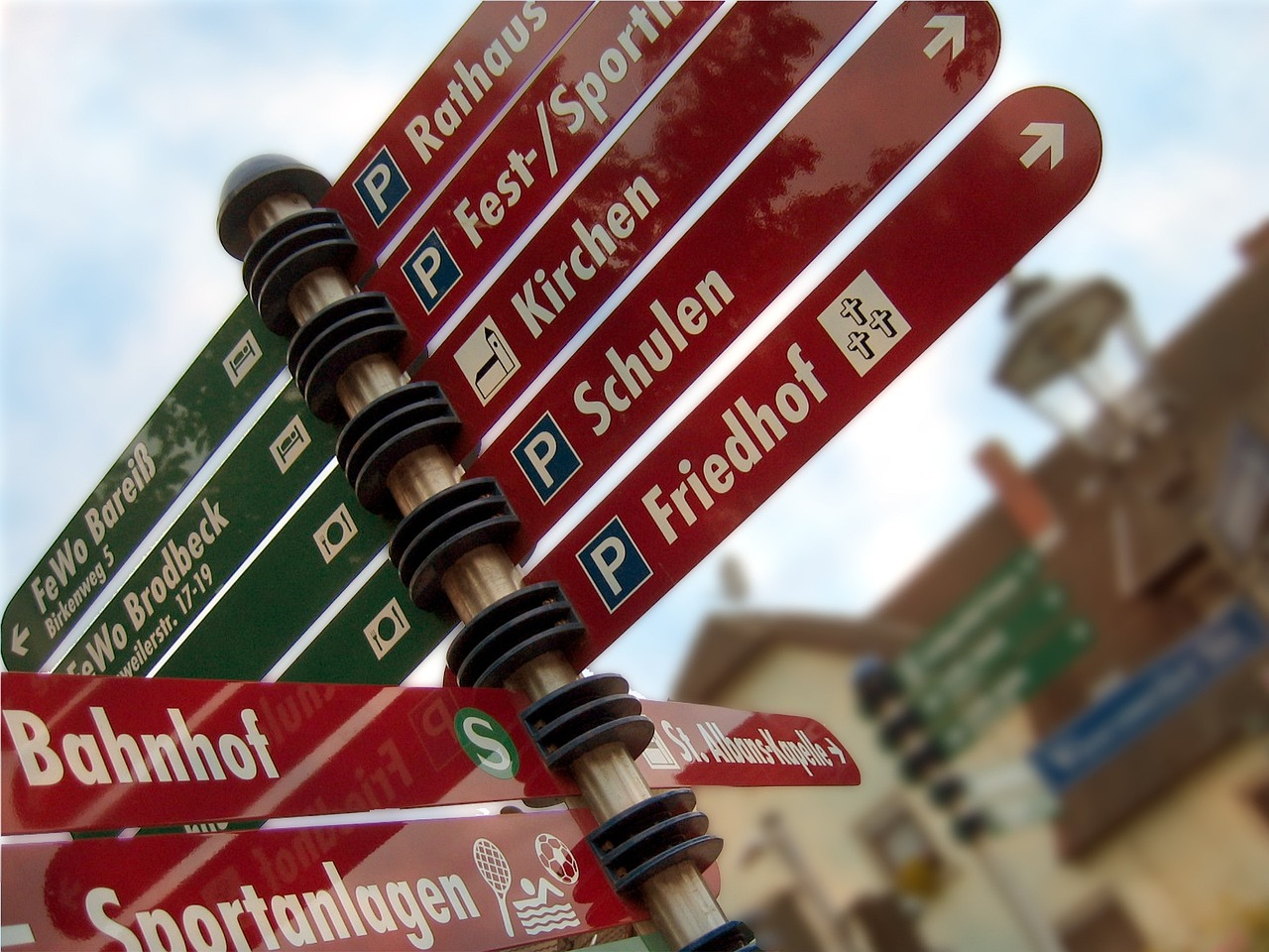 最新趋势下的买菜与不买菜,选择与挑战探讨