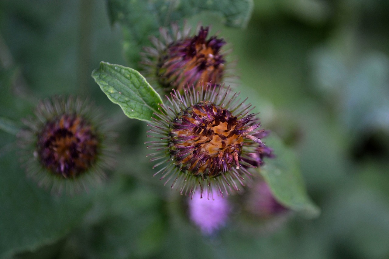 丠海地区最新疫情动态与影响分析