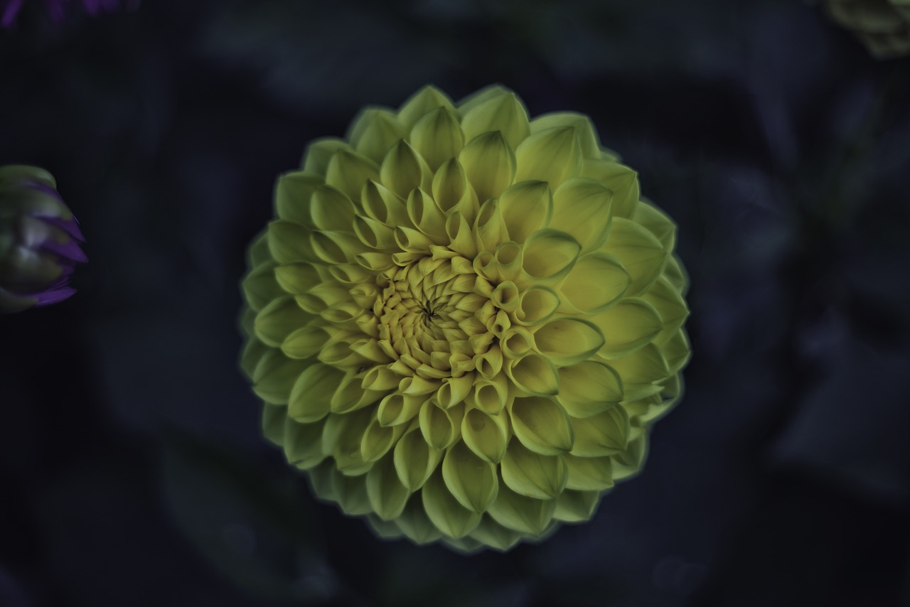 发展与变革中的魅力小镇——古尔沟最新动态报道