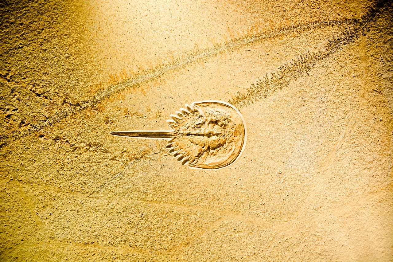 介休鹿人杰,展现时代风采,杰出动态引领潮流