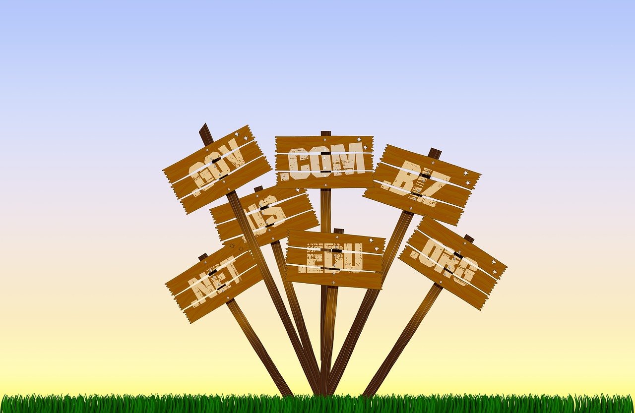 最新动态域名引领互联网发展新浪潮