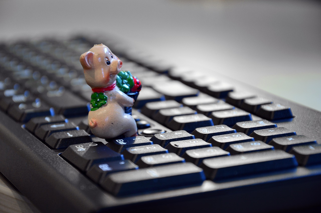 小猪猪最新动态揭秘,萌宠世界的无限魅力