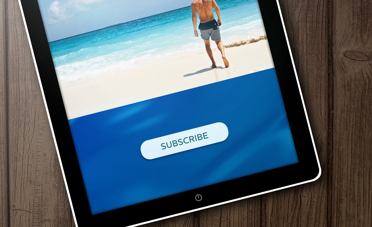 野猫最新网站，探索现代网络新领域的先锋平台