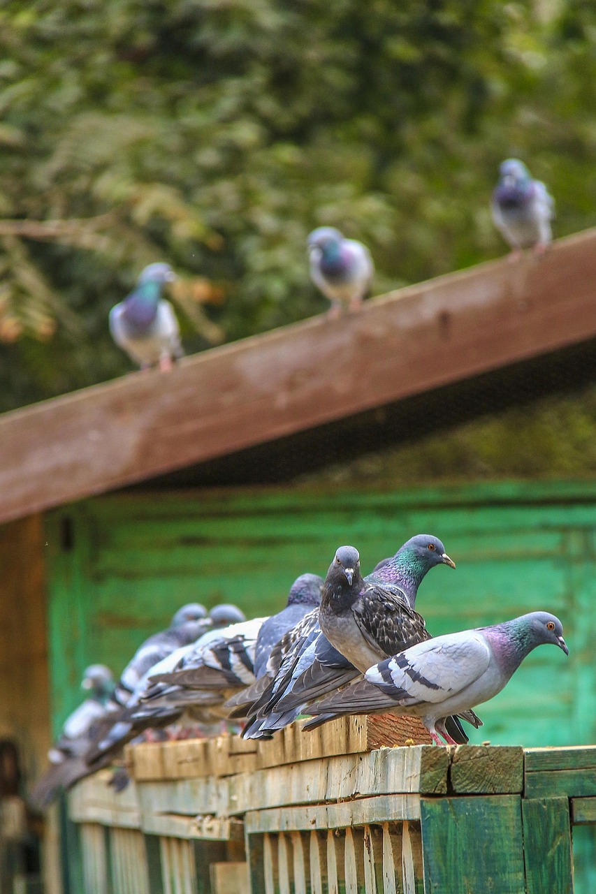 探索未知精彩之旅,旅行团最新动态与体验分享