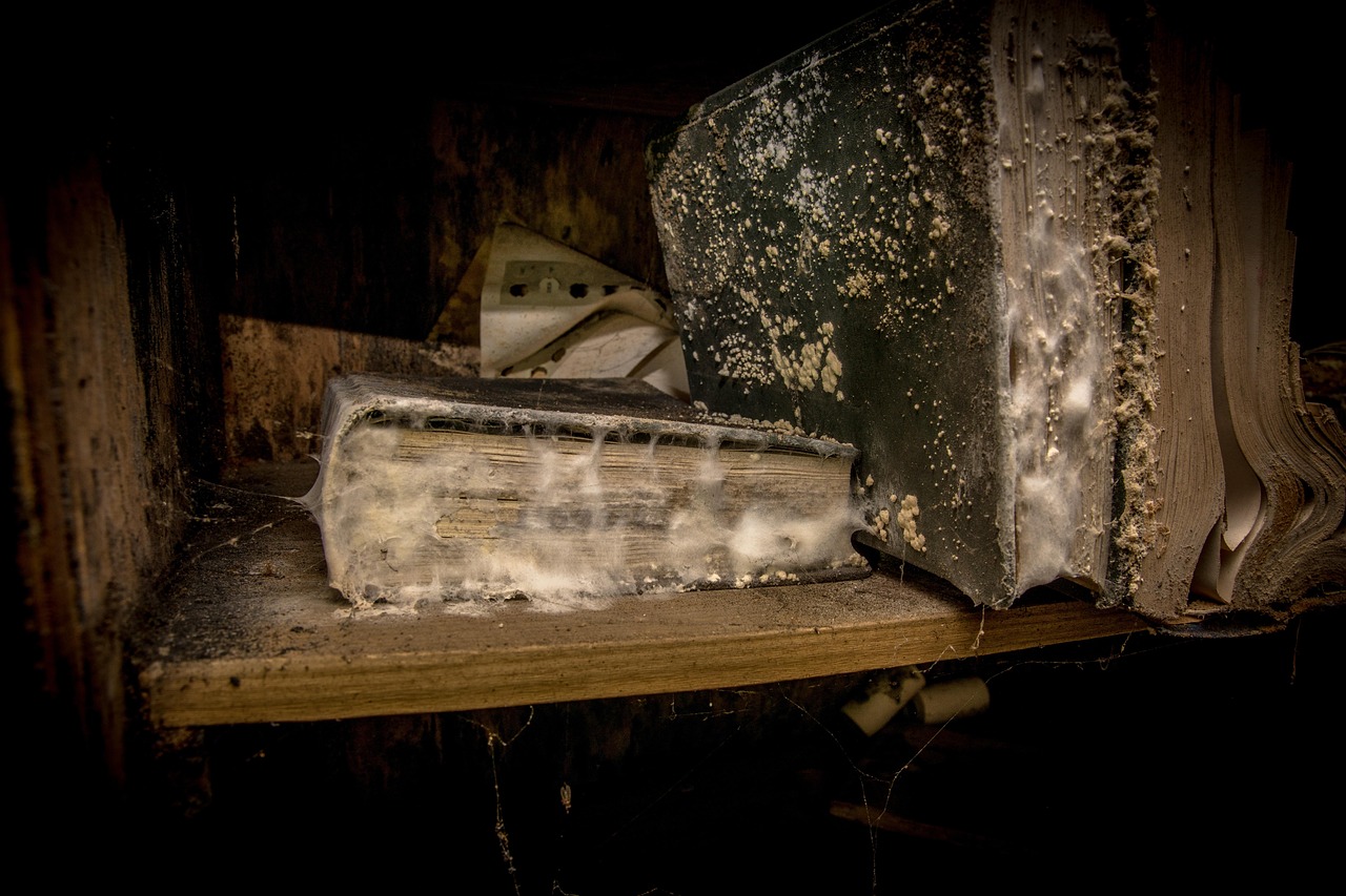 萧天策最新动态揭秘,探寻未来之路,揭开神秘面纱