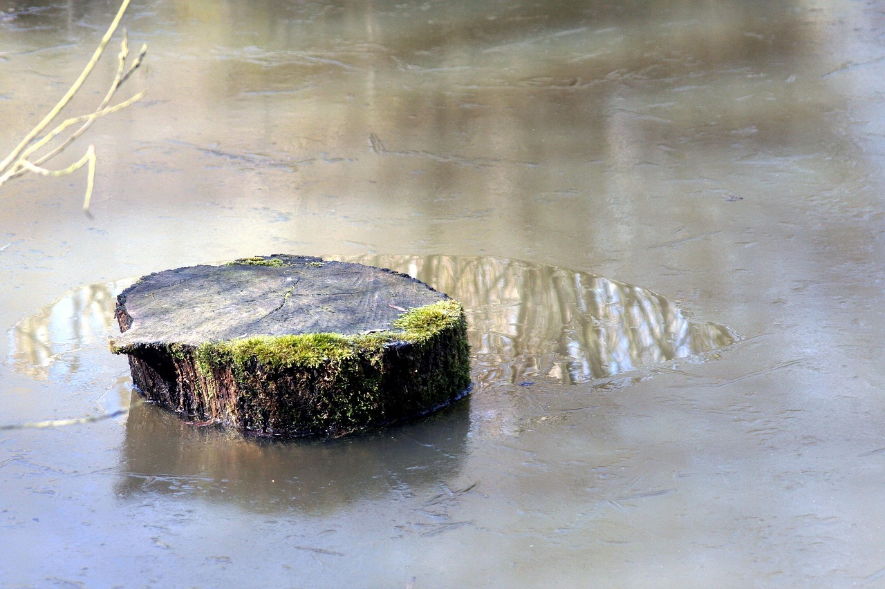 秋霞最新通道,自然之美与艺术之韵的探索