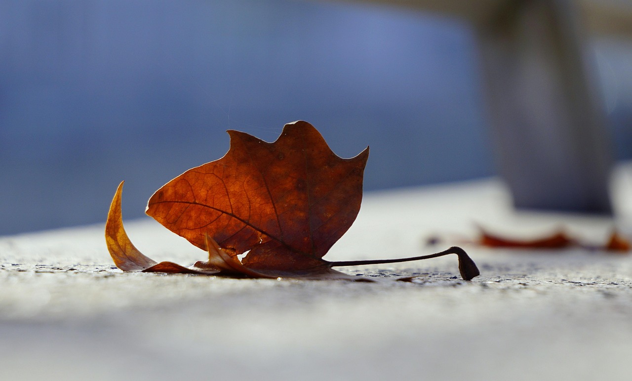 修水最新人事动态,新力量引领未来发展