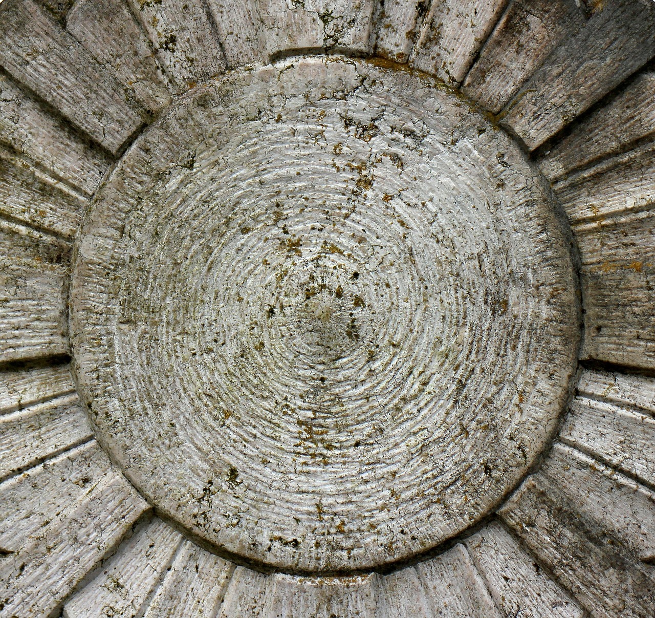 老罗综艺最新动态,探索娱乐新境界,多元化呈现引领潮流