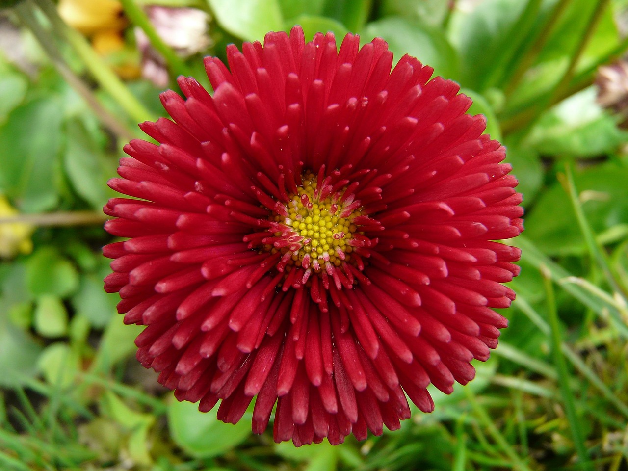 绿红江湖最新动态,探索、启示与实时更新