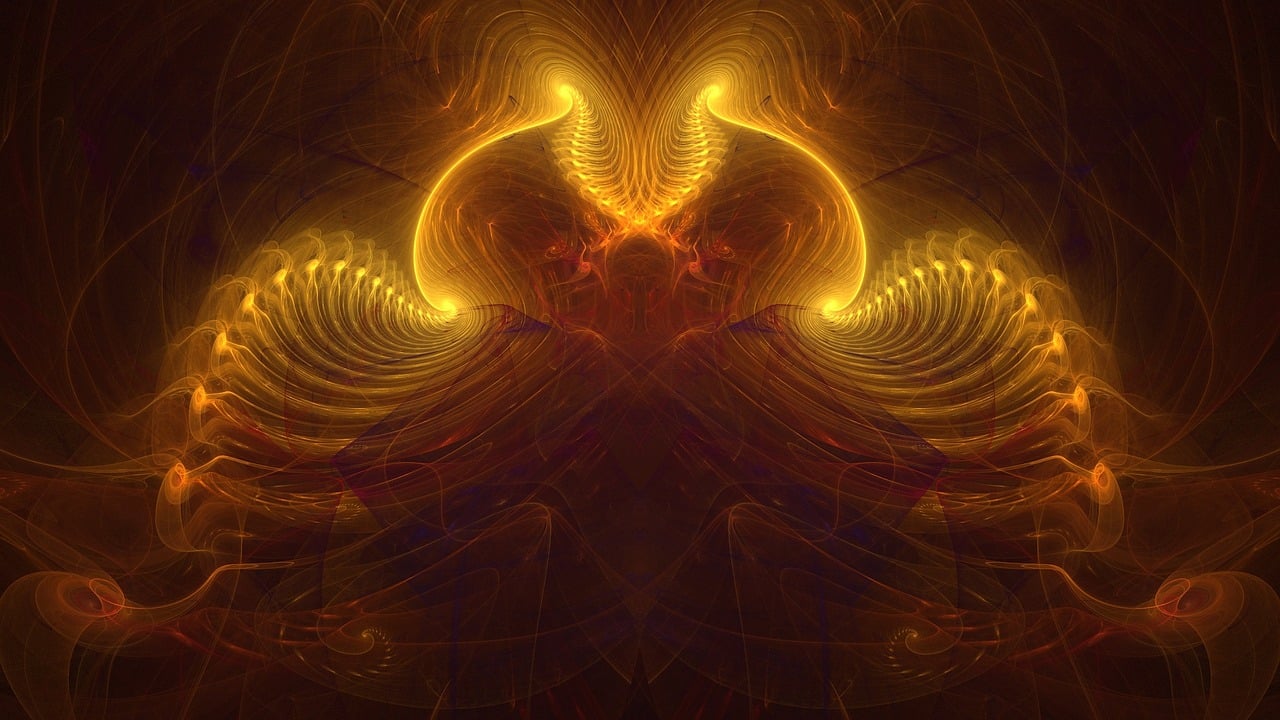 二谦最新小说探秘,奇幻冒险的文字之旅