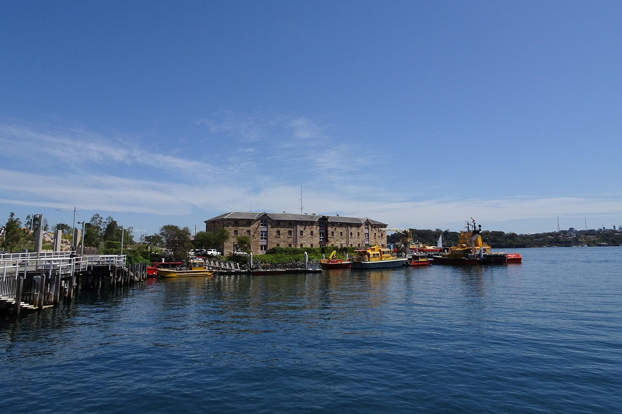 万圣伟最新动态，篮球场上的新星光芒闪耀