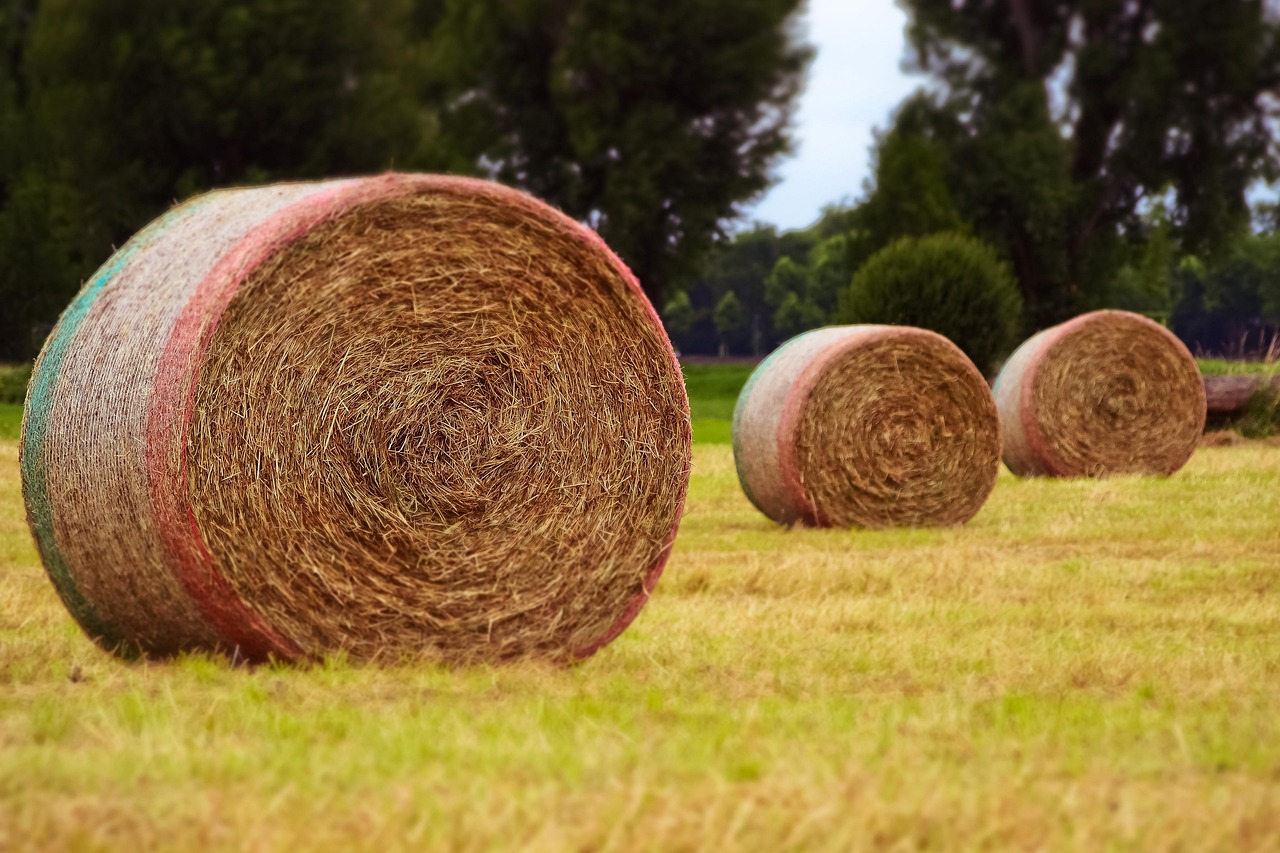 最新秸秆利用技术,推动可持续发展之路的探索