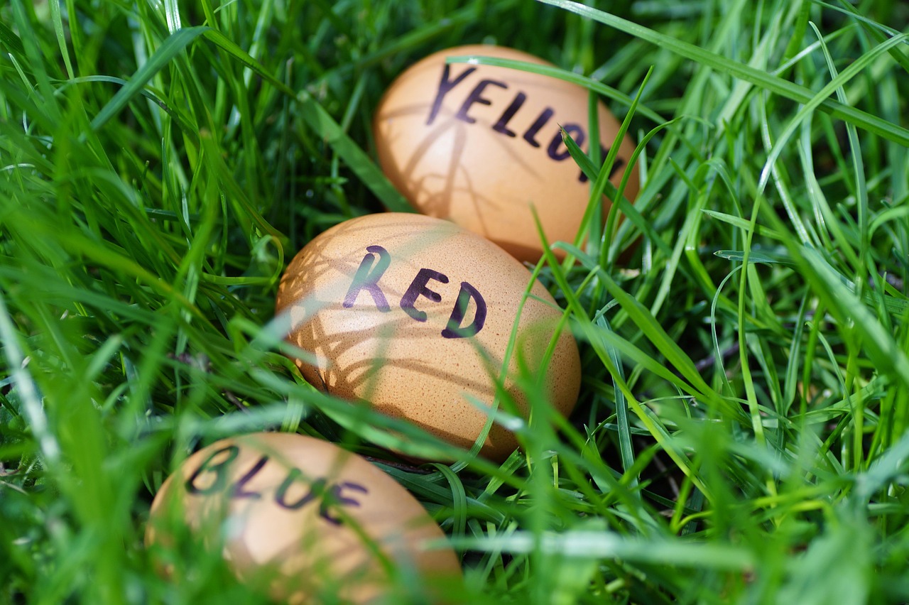 地蛋最新直播,探索未知领域,展现真实自我