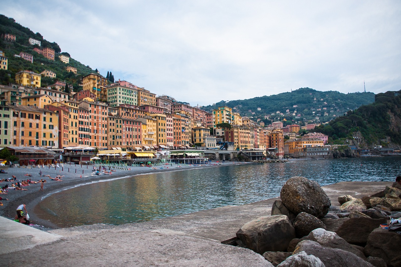 金川镍最新价格动态分析与趋势预测