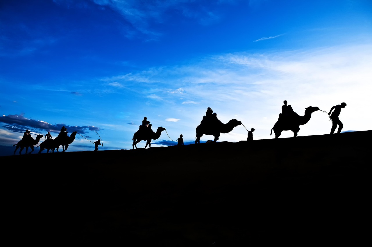 探索时代新潮,最新章节书的读书之旅