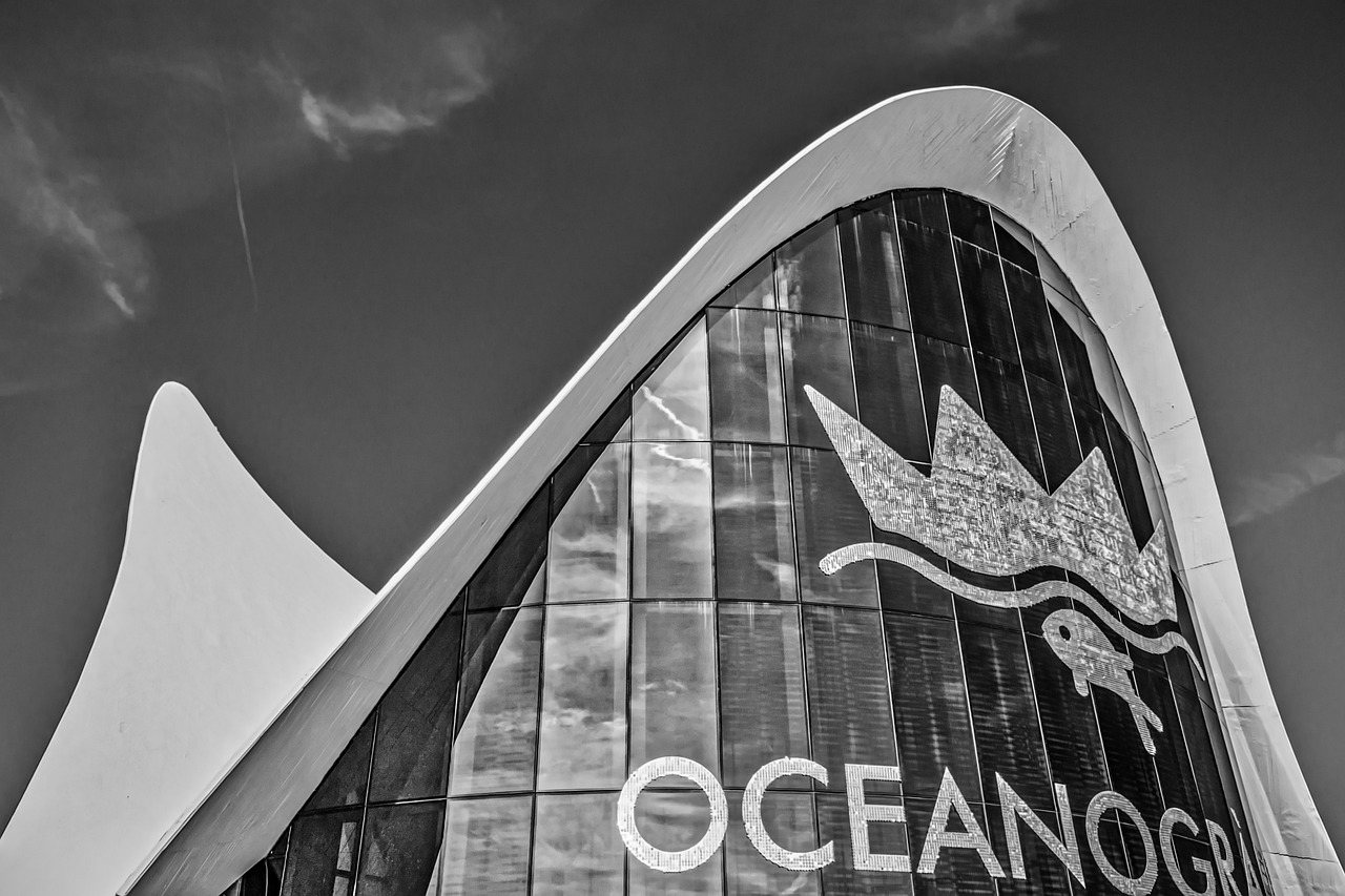 探索未知,年宝引领未来新纪元