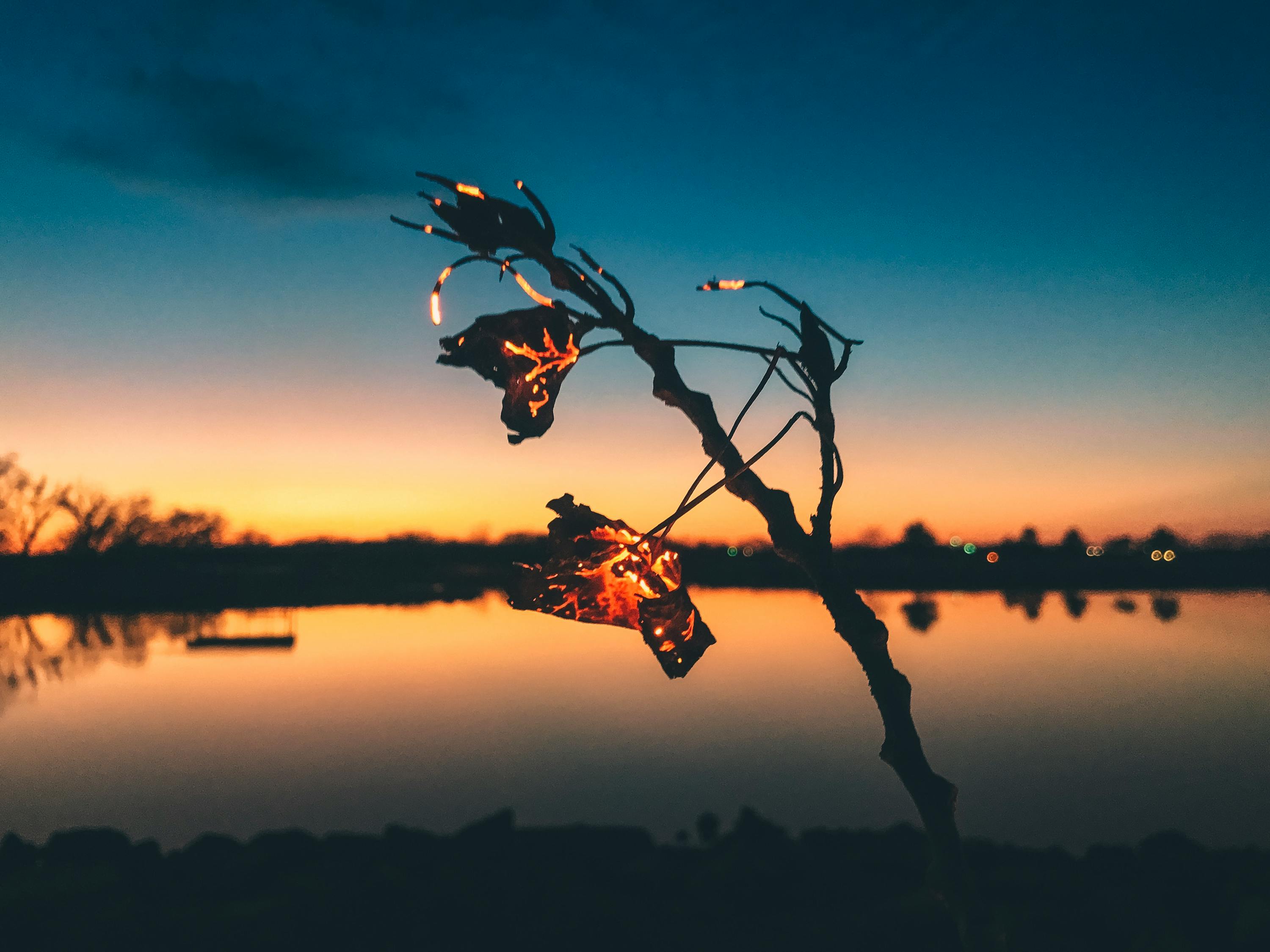 燃烧科学的未来探索,最新火的研究进展与发现