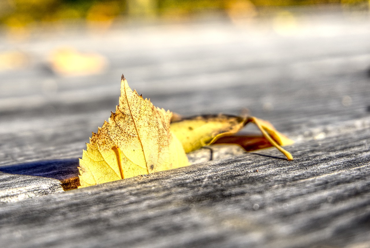 昆山最新新冠疫情动态分析简报