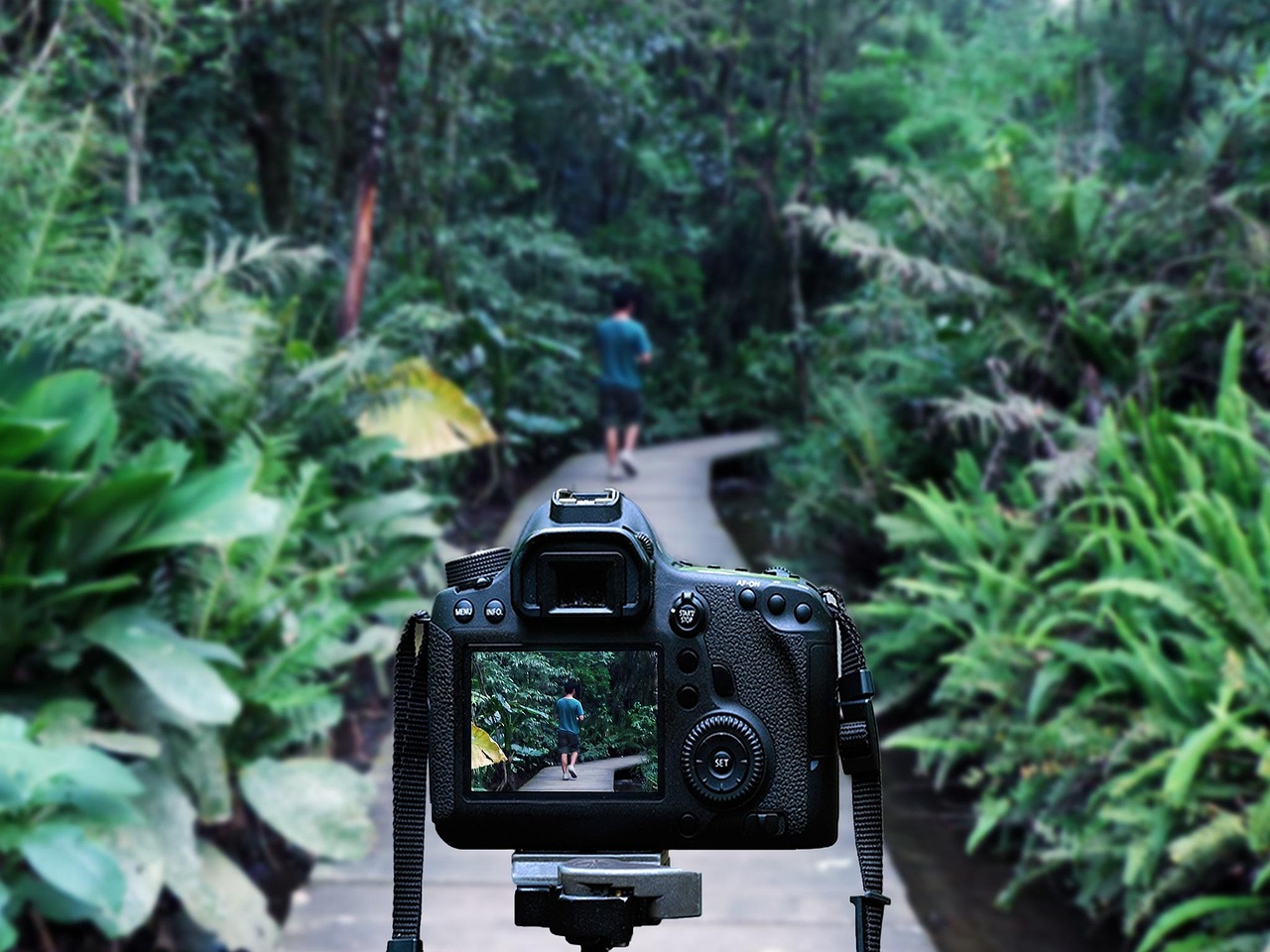 章孑欣的艺术之旅,最新动态与无限可能性的探索