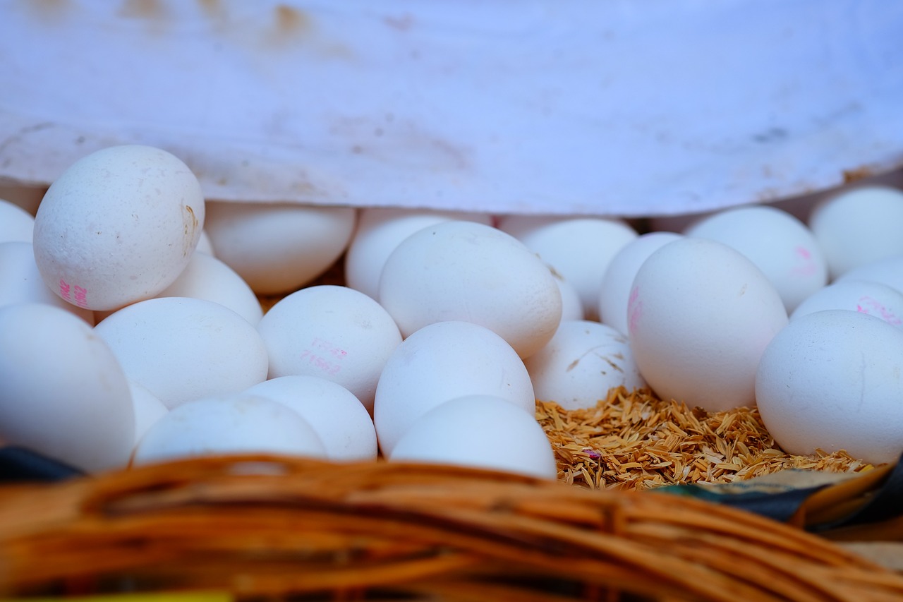 一滴水墨 第11页