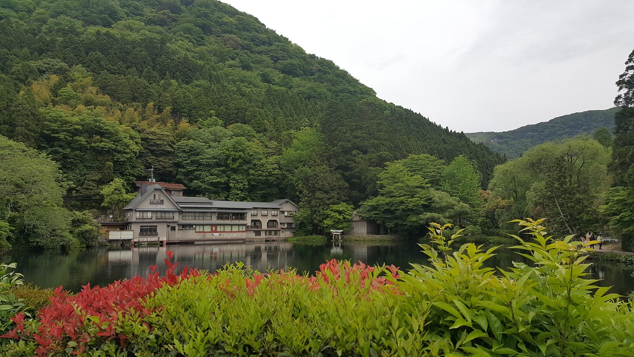 日本旅游入境最新动态解析与趋势展望