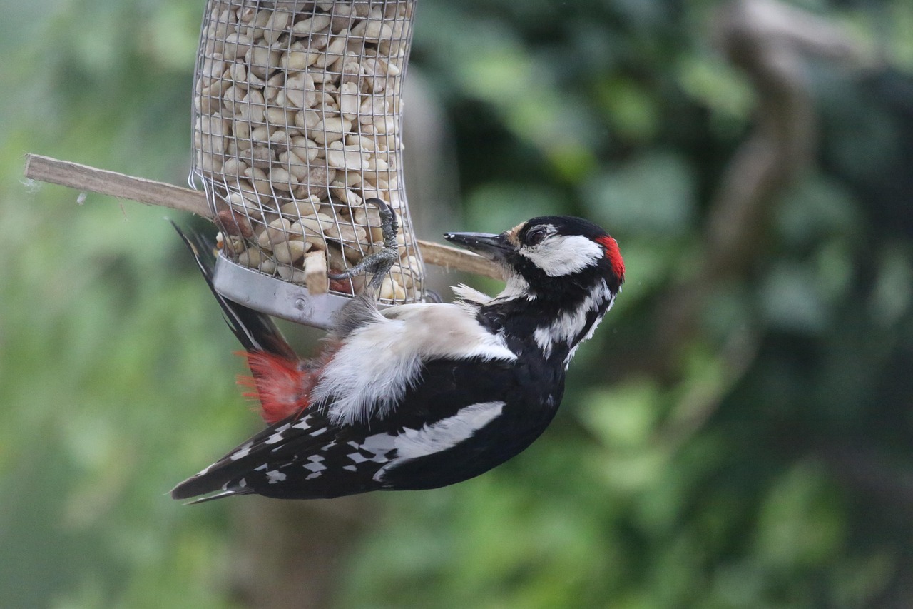 全球地震动态更新,最新地震世界及其影响