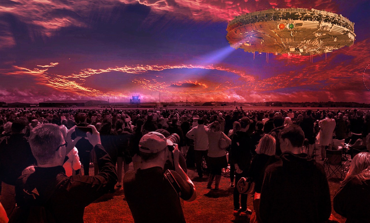 寻君最新小说揭秘奇幻世界探险之旅