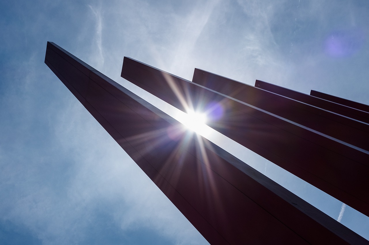 印巴蝗虫最新动态,侵袭与应对策略