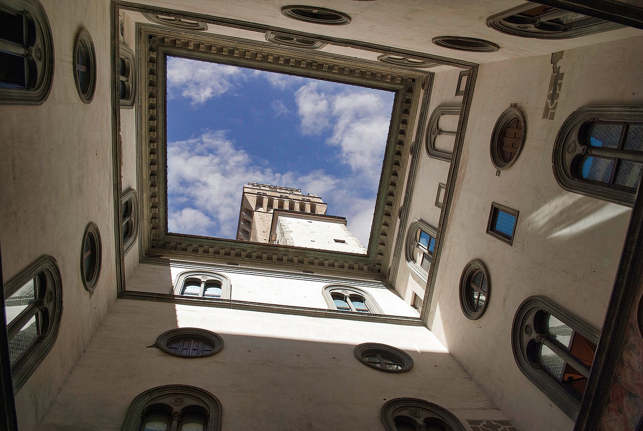 探索菠萝蜜最新动态,独特魅力与发展前景展望