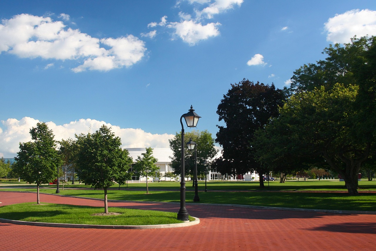 城市绿地最新动态,绿色发展的步伐与未来展望