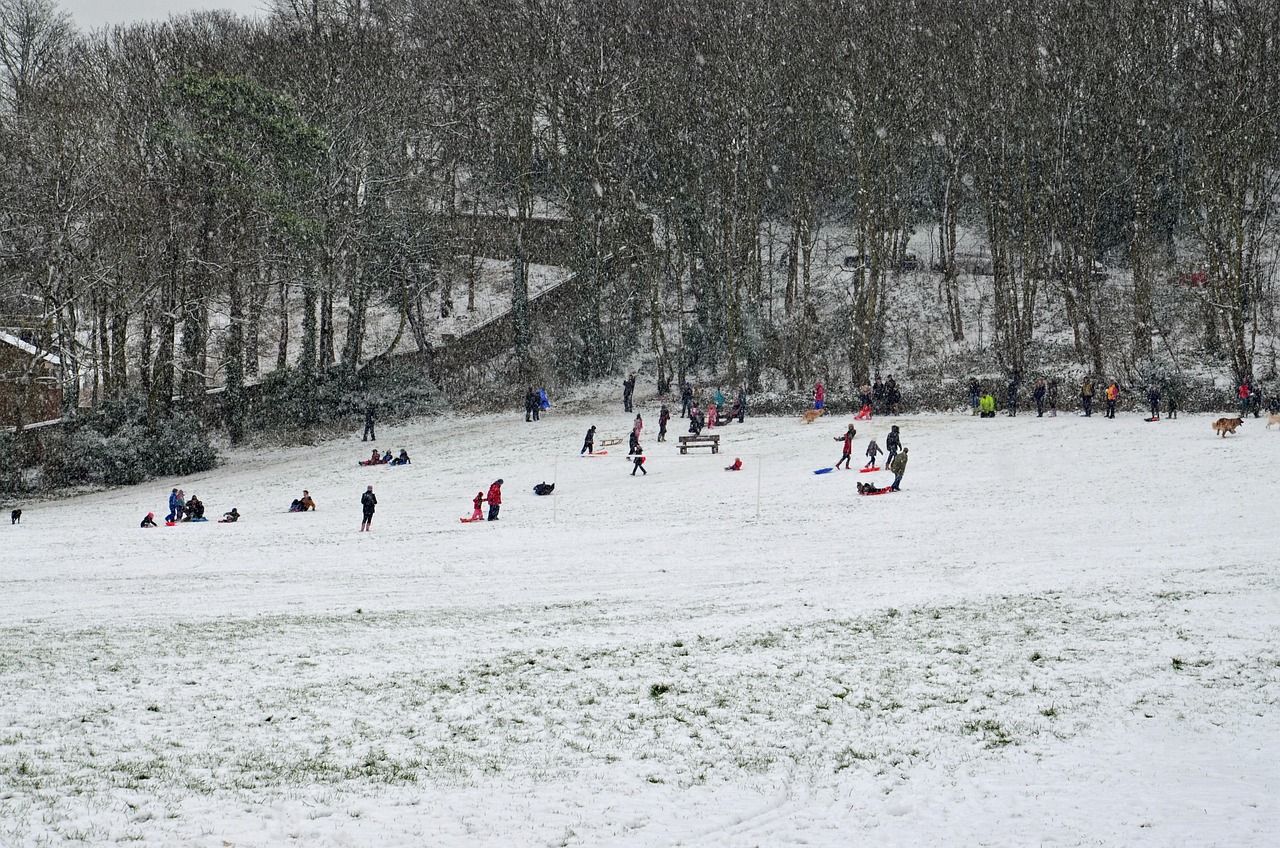 倪妮参与抗疫行动,一线明星的力量与最新疫情动态