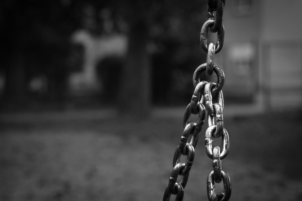 泽艺云最新动态与技术革新概览