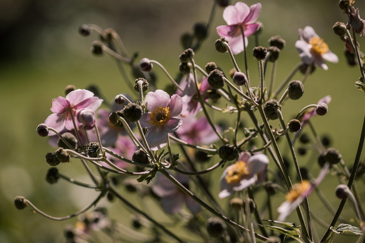 全球疫情最新动态,数据更新与应对策略的探讨