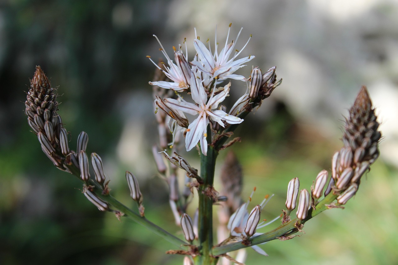 全球疫情最新动态,数据更新与应对策略的探讨