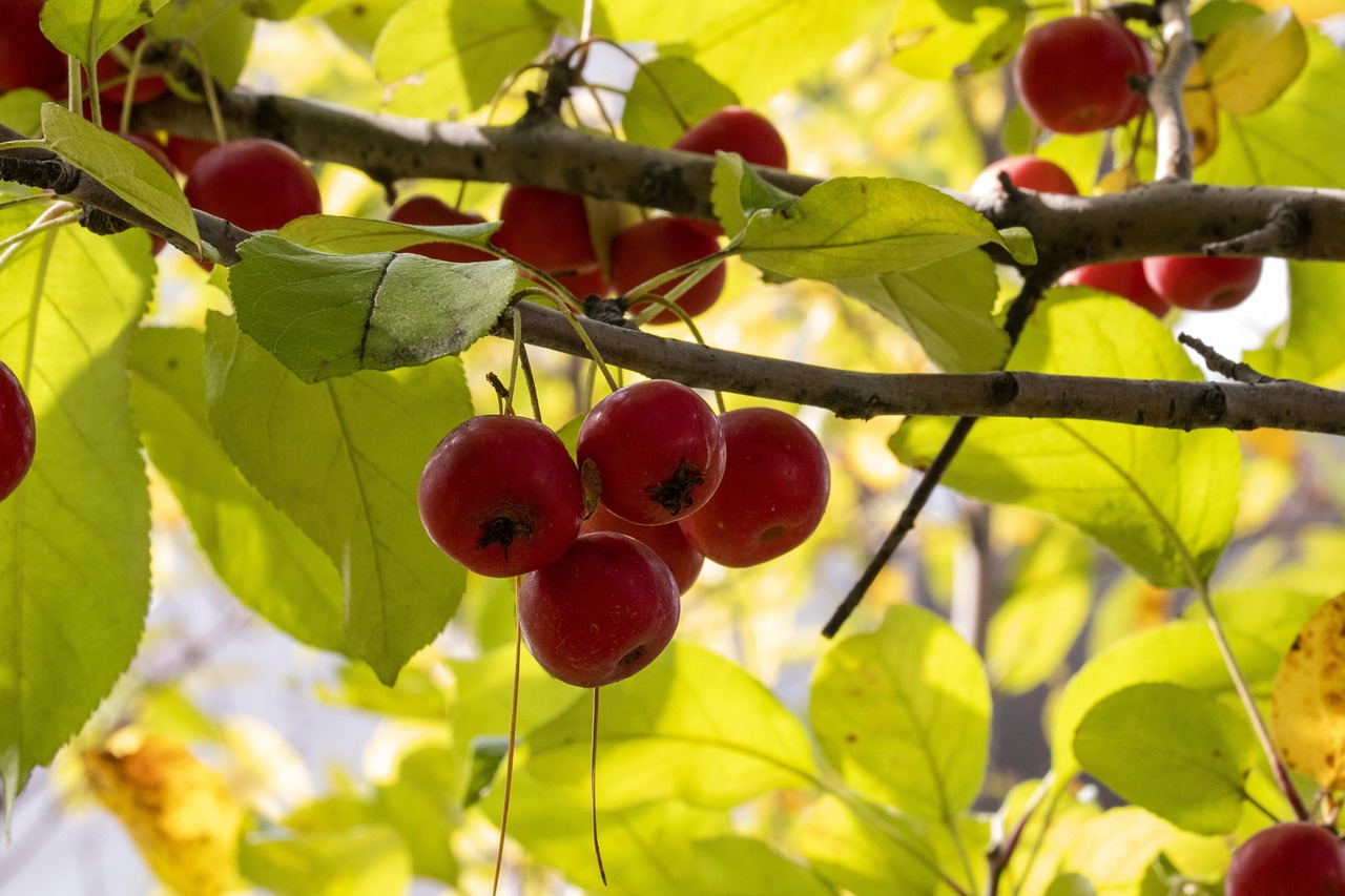 潮南最新冠状病毒动态分析与最新进展