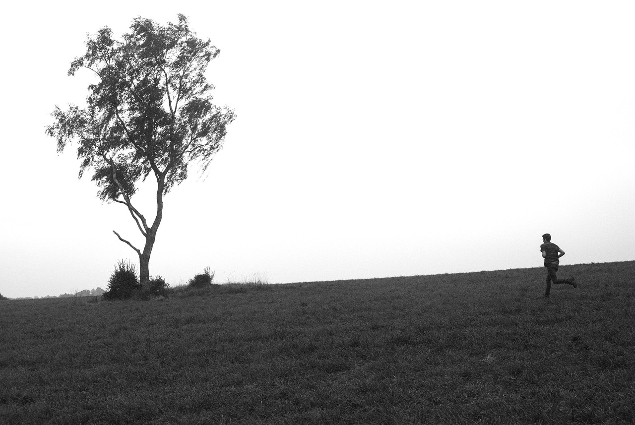 抖音‘砰’现象深度解析,探索时代新声音与最新动态