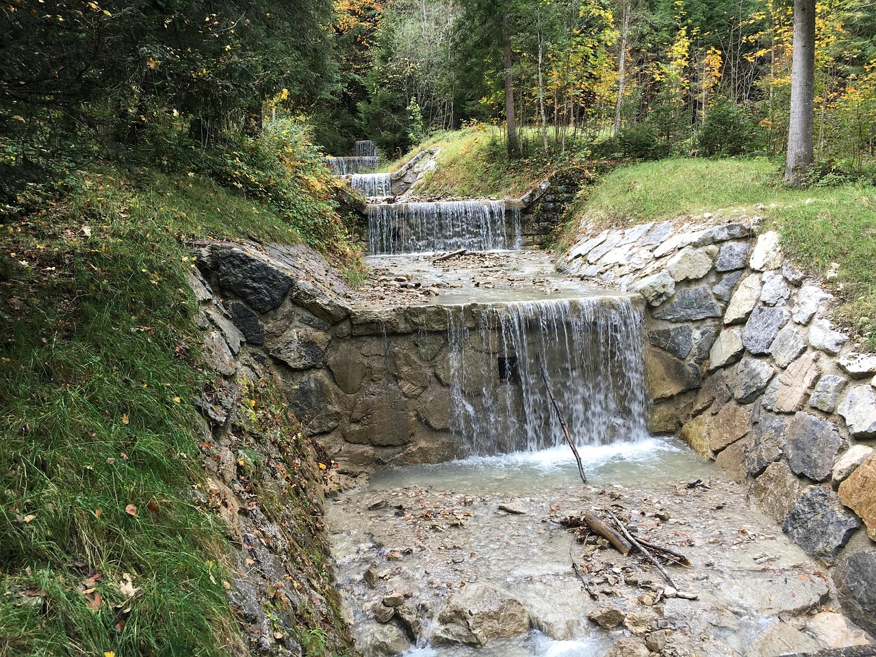 东北虎啸最新动态,共筑生态文明,守护珍稀之虎